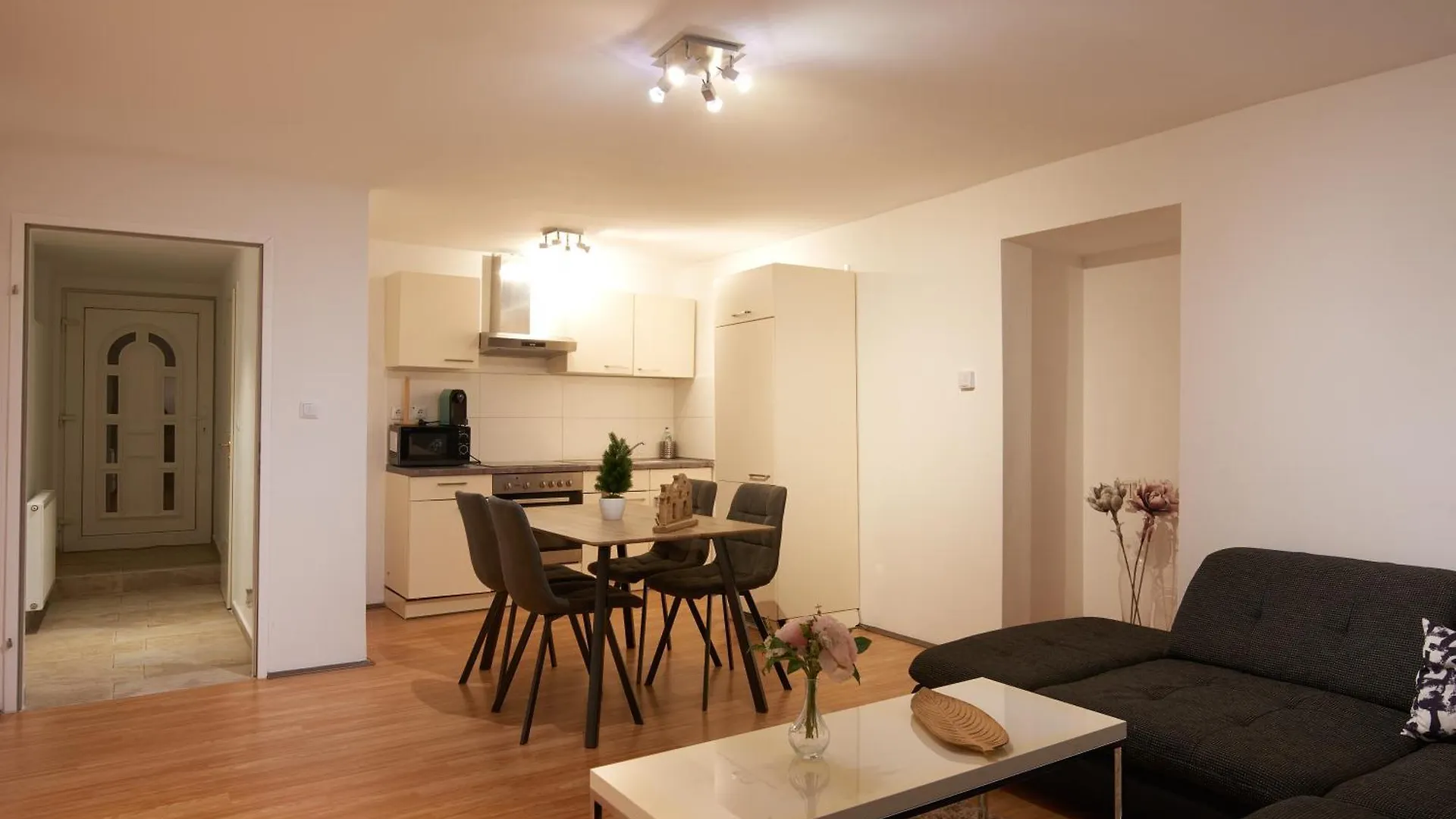 Spacious Apartment Near Schoenbrunn Castle Vienna